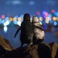 Ce4a57a9e0d7029a2869cea79f1b8bef0c9b3ec9