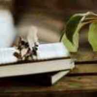 Df1abad81b10fa6d4d4a682eb997e6515f91ef99