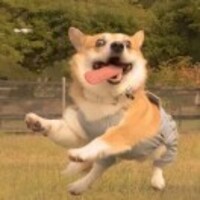 Cd2fef4255259388ffdf08e2762f57d945daab34