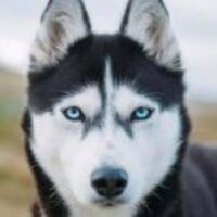 F4eedf402b38a7793e53bc3a9cc0dfb22549e794