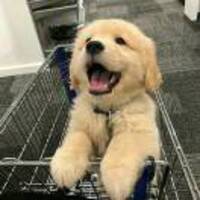 57a7b5be39fd9c72f233a6464f0767a62b455aa0