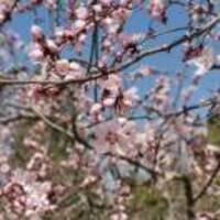 367a7c0c30da3eee42e0fa57146e1ab4d2618297