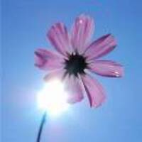 3091563c5127c8ea8a895db32ed8b102be924d2b