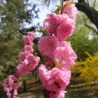 88889daa04152782c3e26e25acdb0c901816a07f