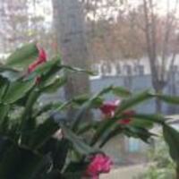 E7cf7481428c14b74be437fd19441b910687d003