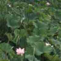 9067b14e9b1a9e2de7c1eb10bd5eaab1ff61e27f