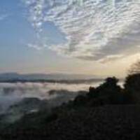 E719e688b2508a36f95593a3327a10b892846005