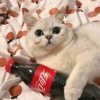 8b6da39f269a3f3362ea645af7e0d2469b814715