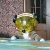 5a4f56cf06c5b7787127254cb19cd01268d110ca