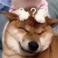 Bf5e6022457bc2488cb6257afd0be0de014f5d5b