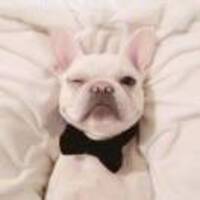 914571ab7fb7b36fad33af244c6e4cd0930c97ff