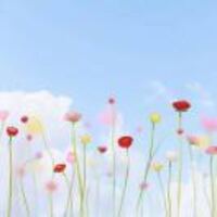 23385350556c40a45849452a949cb003dea4c8f6