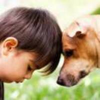 17cdbdb7b016dc6c7a9ca8237583f018501b7f74