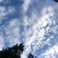 6902dc414659e97c7f58fe02ffe3d5039e02f1e6