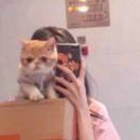 150bbe013bb2071704d2f8424c2c23950301bff8