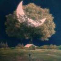 10d9b7203162289d316c14e3f0c948a4661f2087