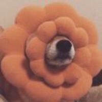 F579ce163eae7a970ee52abc443c6dd54c982f8b