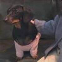 Cda9e3f0ecc1d2c65c351bf5583ae6633d7cc308