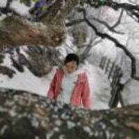 35afddbd13edbb412735c5ad30b746faba2a9eeb