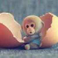 Da8d0337be5dad7b4f54c2f5711637fcaf4495a5