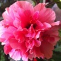 85b6d9cb5ecd22e52292e656463728af7224567e