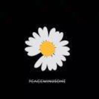 9ba3c22312722b76645d90e7e7d238d8f84f4f53