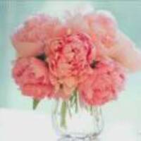 B9cb3087e2485c81f584ad3392abad8cb3202bd5