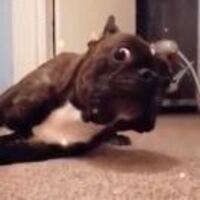 11ee7fc9c7316a605dd366dc38366a7777f6060f