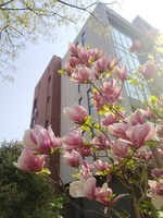 1b624a6a8921c18f34cc3e7786c847caece6824b