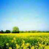 6cd254b32e317cf6fd62838d0977a2b4ae5d9d3a