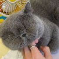 Bf92364a147ad4d304ebcc351a32388f3c850c74