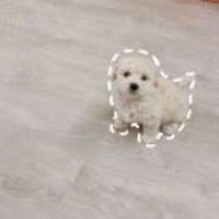 F3b7239082aa21c515b6e9348ad11c9b23d4d612