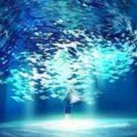 Ea14191a96eebd7b1bae3a7a2e43ad87fd1e513f