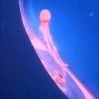 5cbb9919bebc7cc9745bf4e0aa988d50c661ecee