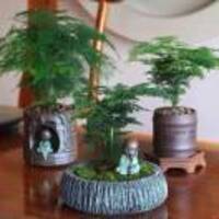 D0dd96dc2fdedab9a6b4650c63c1dd430fc83956