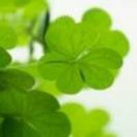 4a43c632b1e96f8a41d22958586f4cc4eb7bb430