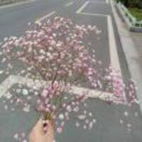 C77417da5131bfb9c8b3771b4c2d88d1a3daf218