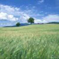 512bd2f32ab2c017ddda392ee0f4cec586212cfb