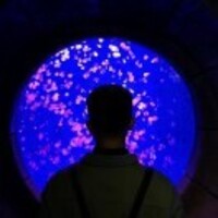 4f997e6390965ea215c70815bf1bbdee86b8b248