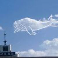 8f9beea51a4e2c27416c0704a09eed4fa9d0ff4e