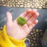 23cc63a4242bde61f8674a7f7942f1374eb5b5a6