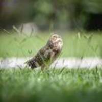 6f722fdfcd02ec3dbe5e2db904613f5ae4fada19