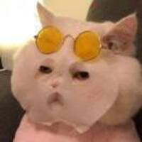 8b816d65c2251712048eebc83f714c497bcbba0d