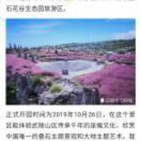 242f781e83ab3c43873b3df11b8753c9fa352679