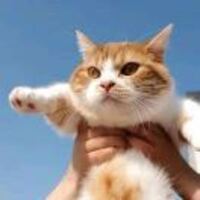 738d8b605dfeb4b37d77a962b626005df28c89f8