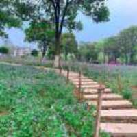 40d70c4ed527853b7589d322a7e5db86a20e05f7