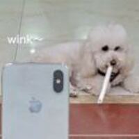 29d8f871e8754f2c3e31cfbca0086e0129283921