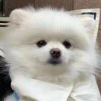 9016bd9b1ef605f4f3f0736e4f4f9cddeadbb48d