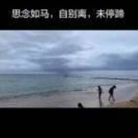 A235f3550b952ab820da02fe8b35164d386c7765