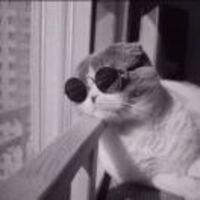 Bf73c99c19699876dbf7e5a576552d719301cd72